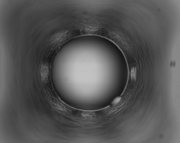 X0000100861299200806201207