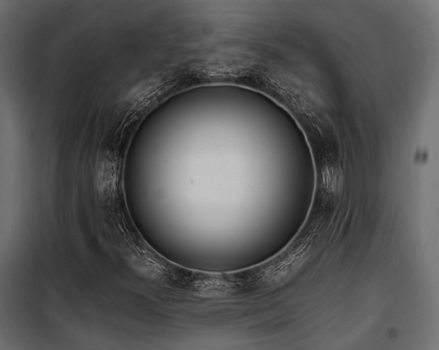 X0000100861300200806201207