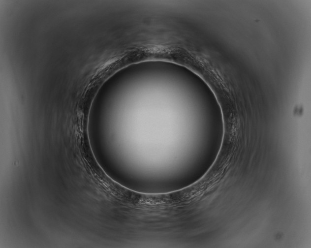 X0000100861301200806201207