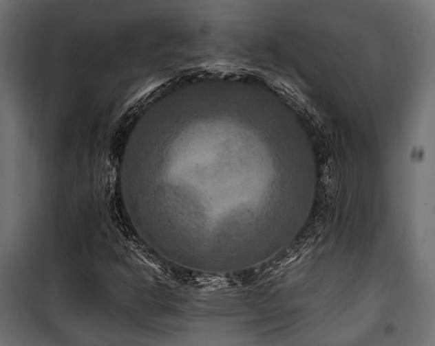 X0000100861302200806201207