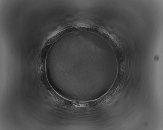 X0000100861303200806201207