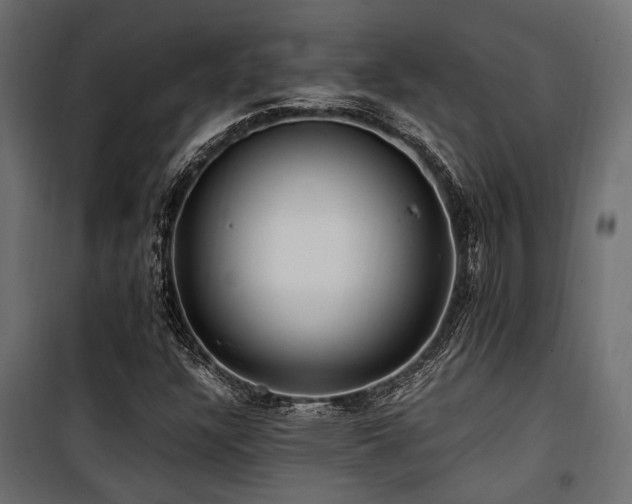 X0000100861304200806201207