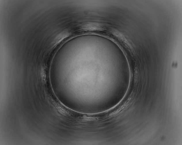 X0000100861305200806201207