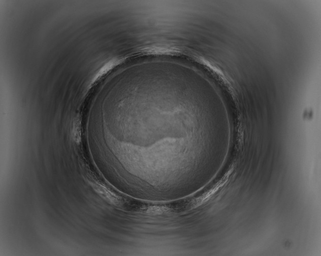 X0000100861306200806201207