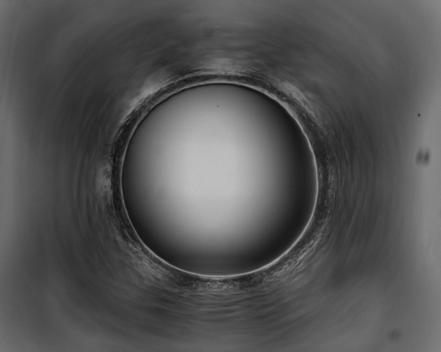 X0000100861307200806201207