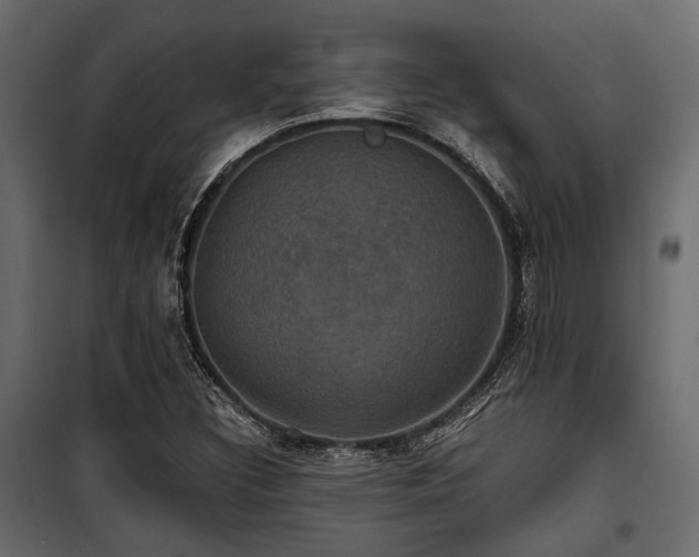 X0000100861308200806201207