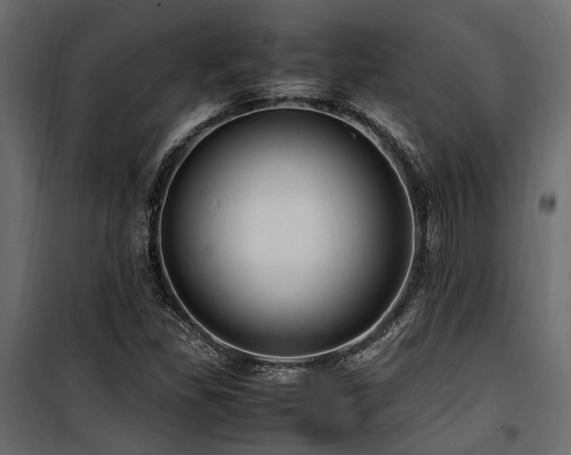 X0000100861309200806201207