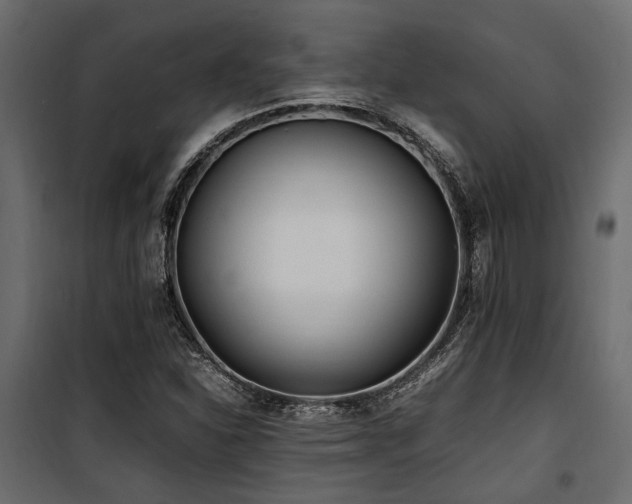 X0000100861310200806201207