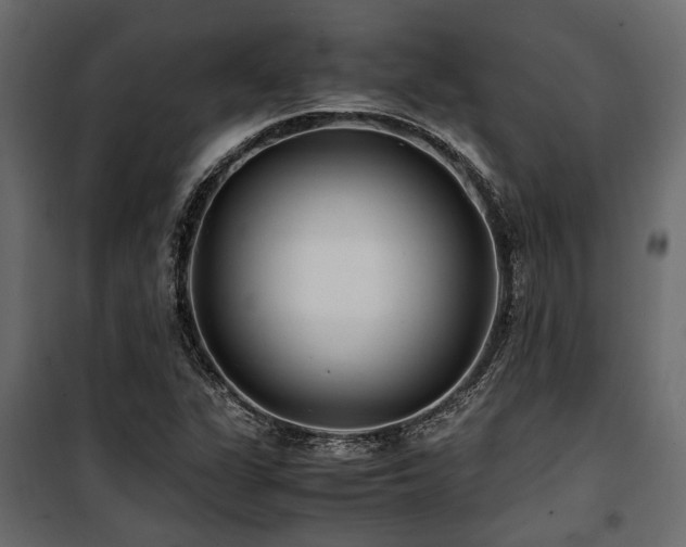 X0000100861311200806201207