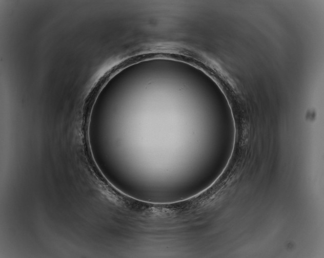 X0000100861312200806201207