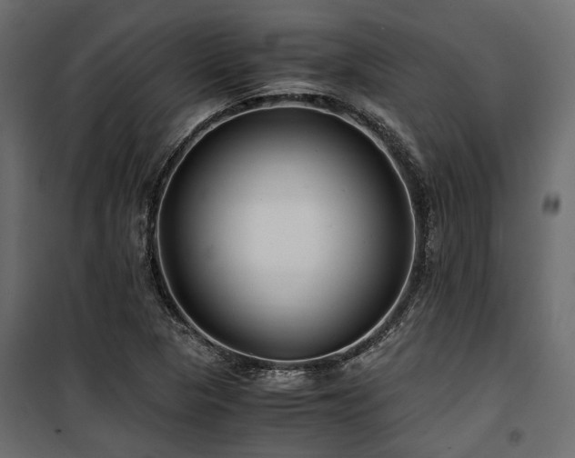 X0000100861313200806201207