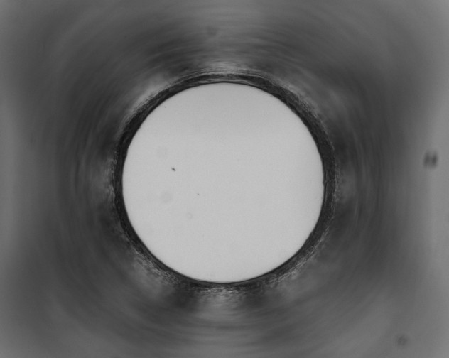 X0000100861314200806201207