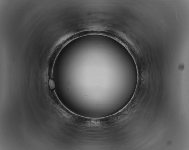 X0000100861315200806201207