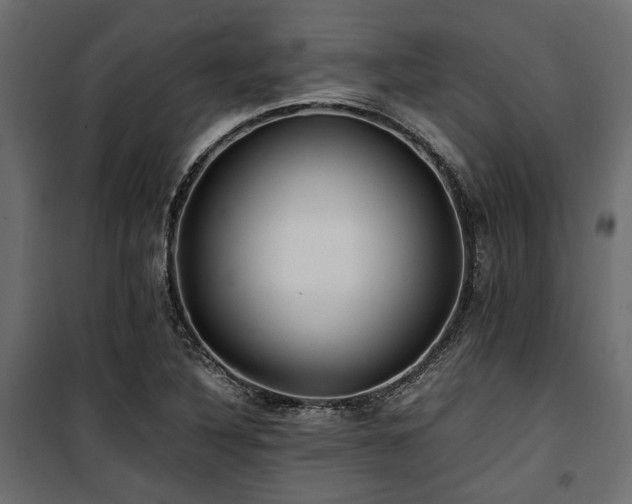 X0000100861316200806201207