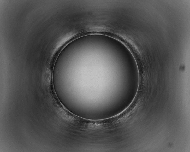 X0000100861317200806201207