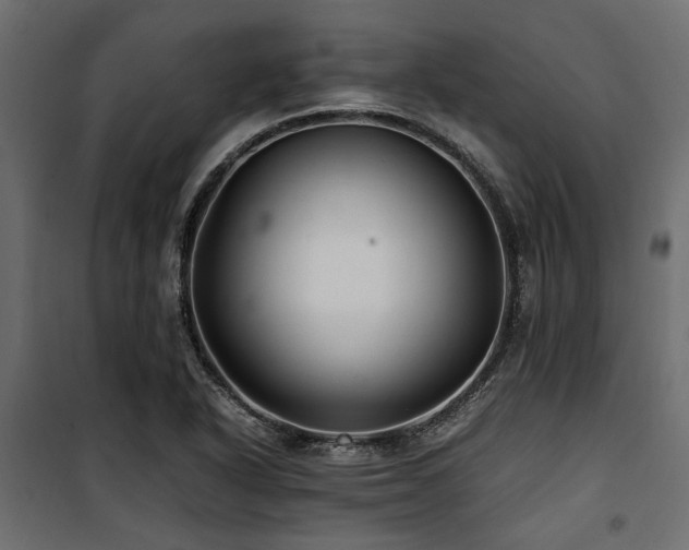 X0000100861318200806201207