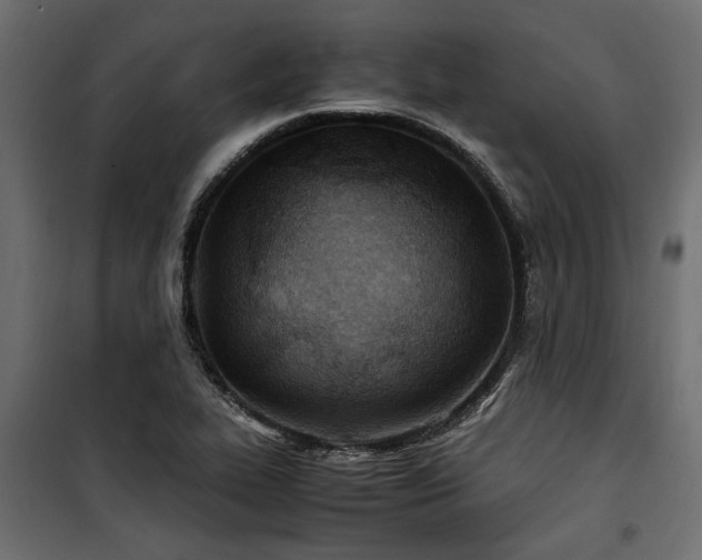 X0000100861319200806201207