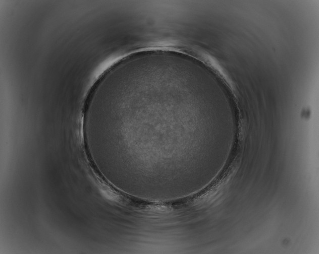 X0000100861320200806201207