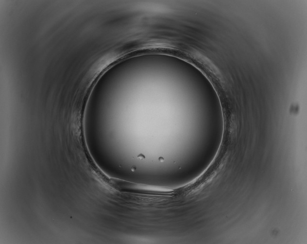 X0000100861321200806201207