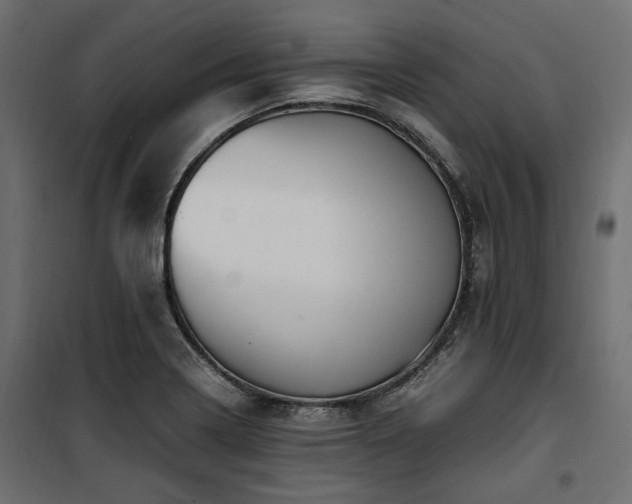 X0000100861322200806201207