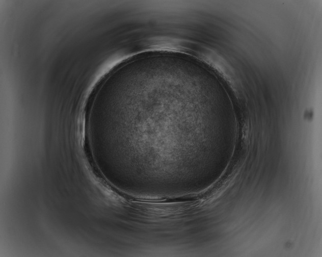 X0000100861323200806201207