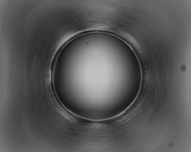 X0000100861324200806201207