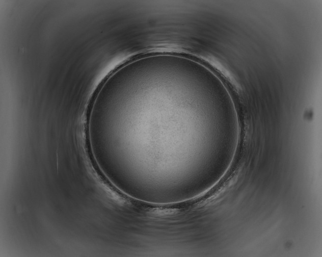 X0000100861325200806201207