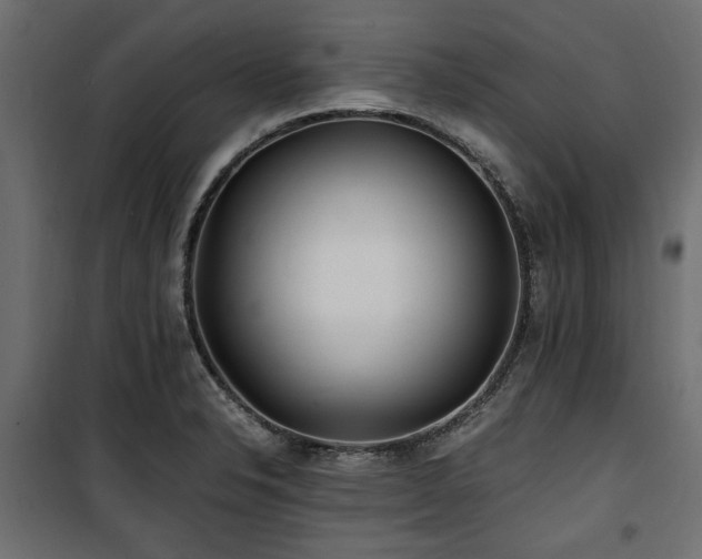 X0000100861326200806201207