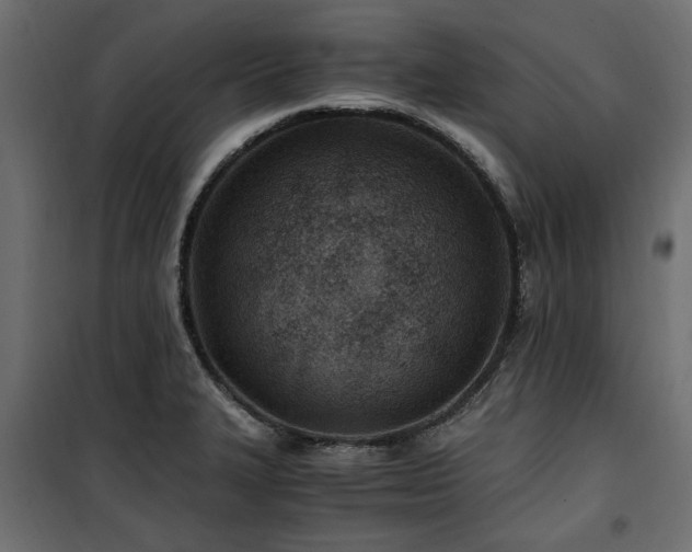 X0000100861327200806201207