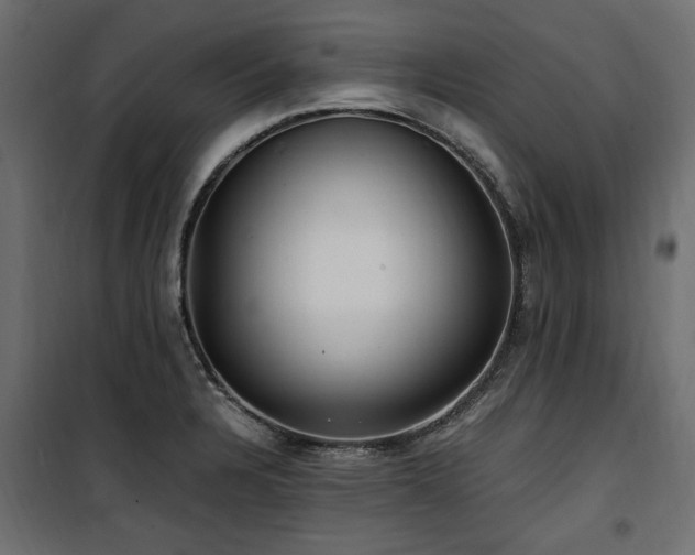 X0000100861328200806201208