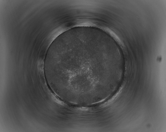 X0000100861329200806201208