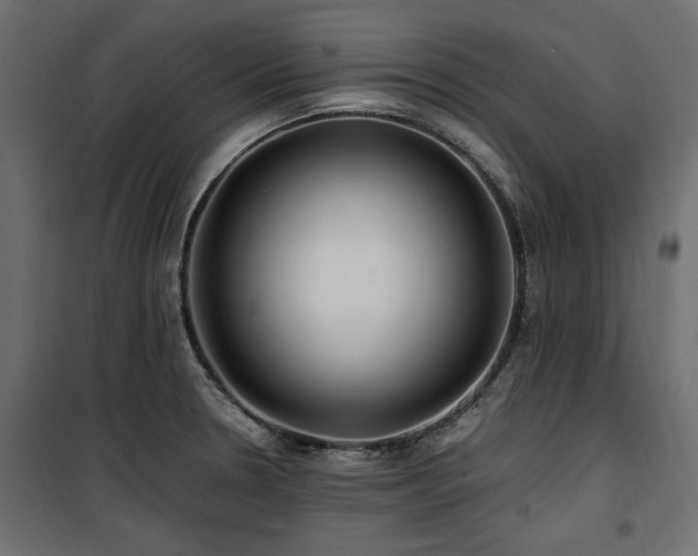 X0000100861330200806201208