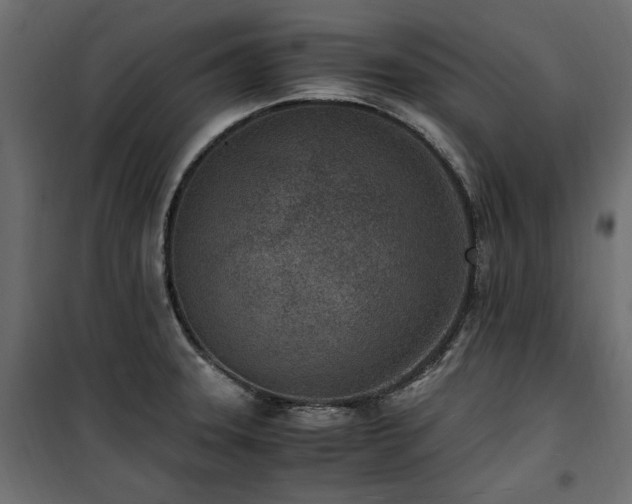 X0000100861331200806201208