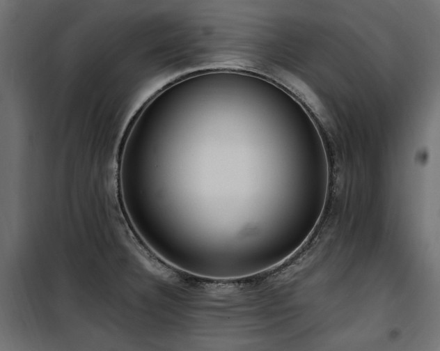 X0000100861332200806201208