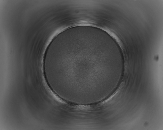 X0000100861333200806201208