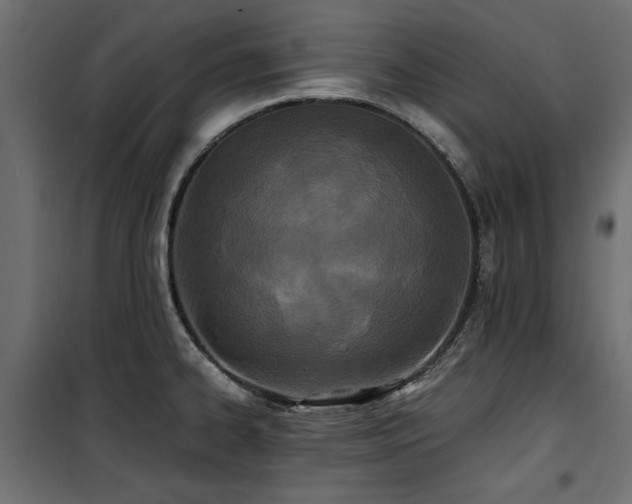 X0000100861334200806201208