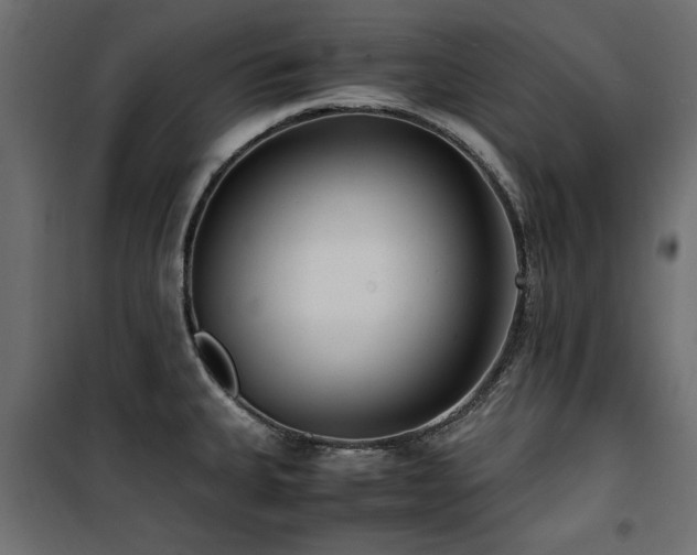 X0000100861335200806201208