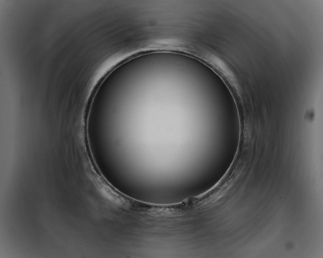 X0000100861336200806201208