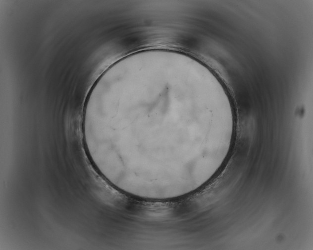 X0000100861338200806201208