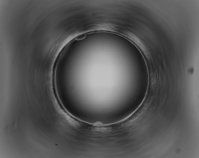 X0000100861339200806201208