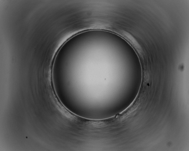 X0000100861340200806201208