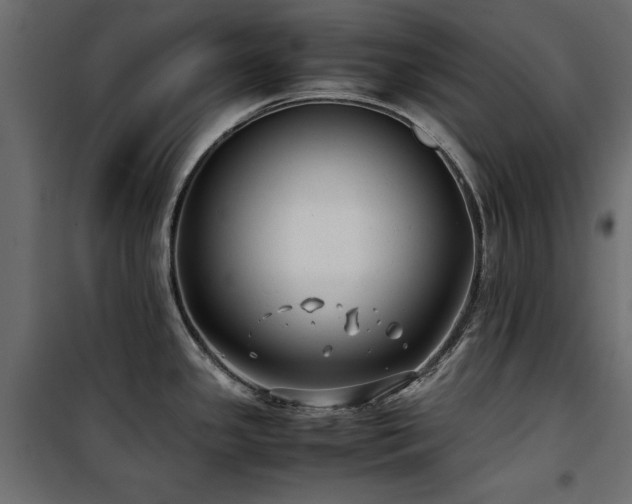 X0000100861341200806201208