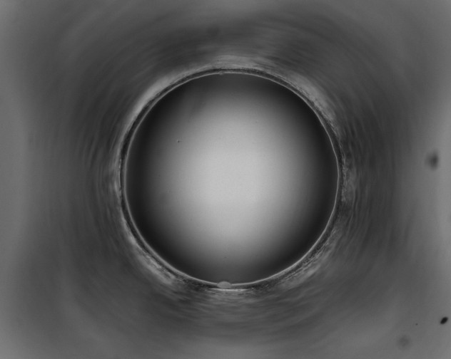 X0000100861342200806201208