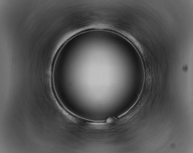 X0000100861343200806201208