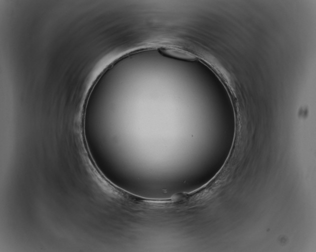 X0000100861344200806201208