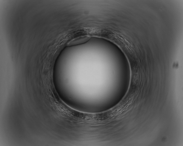 X0000100861345200806201207