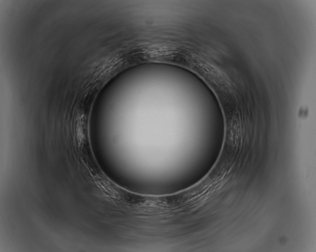 X0000100861346200806201207