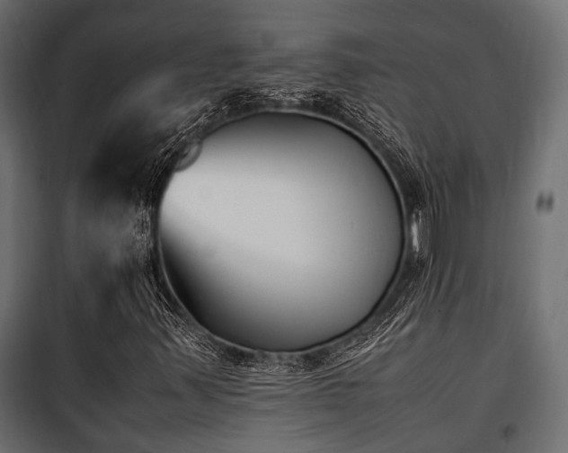 X0000100861347200806201207