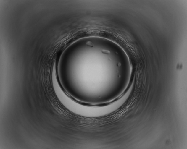 X0000100861348200806201207