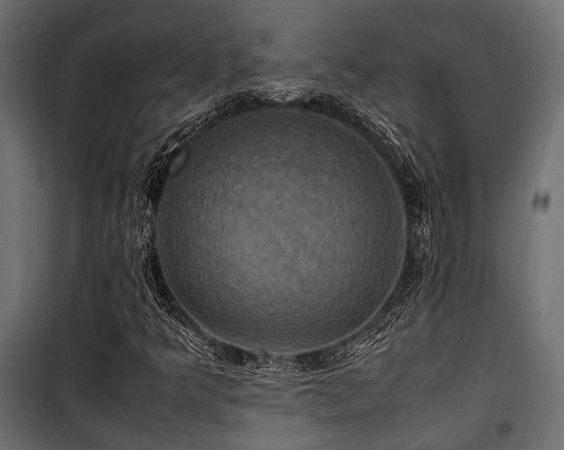 X0000100861349200806201207